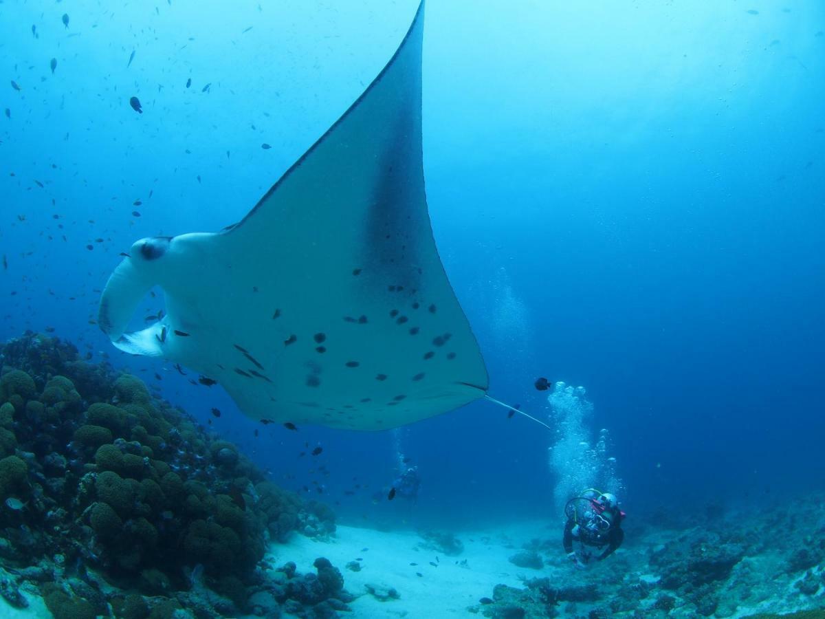 Atollkey Otel Dhigurah  Dış mekan fotoğraf